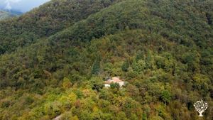 Il podere visto dall'alto