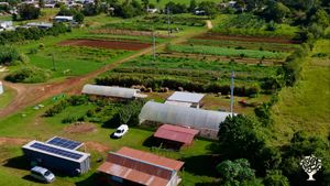 Organic seed production farm
