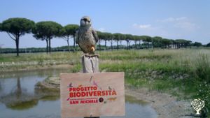Azienda agricola biodinamica con allevamento di bestiame, produzione ortaggi, miele e latticini