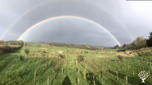 Smallholding, woodland