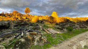 A recuperar do grande incêndio de Agosto. É urgente limpar, plantar e regenerar!
