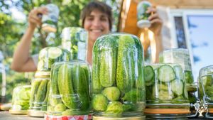 Maraîchage bio, petit élevage  muton et agrotourisme