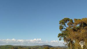 View from the top of one of the fields on the farm. 
