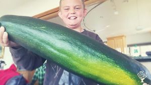 Always have a large harvest of zucchini!