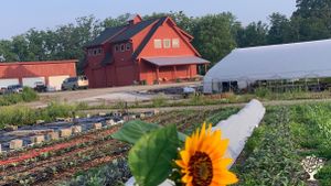 Real Organic Permaculture Food Forest Farm in Michigan Countryside