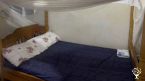 Welcome to our Farm in Mutai! Nestled in the peaceful countryside of Mutai, Jinja City