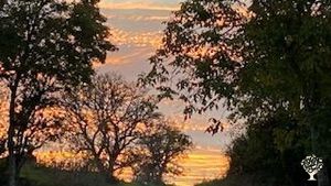 Élevage caprin avec transformation fromagere non certifié