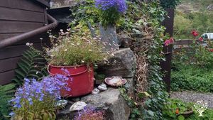 Croft, vegetable and flower garden. Free range chickens