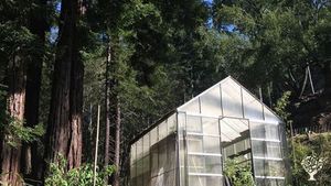 Small off-grid homestead in the hills of Cazadero, a small town in Western Sonoma County