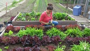 8-acre organic farming compound with sled dogs in Alaska