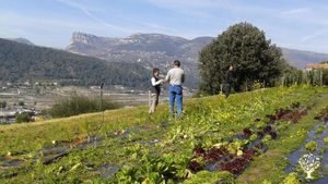 Ferme biologique (Ecocert)