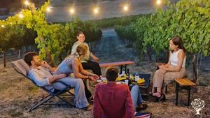 Organic independent winery life in Umbria: vineyard, cellar, wine tastings and lifestyle