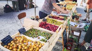 Ferme agroécologique. Paysan-semencier, producteur de fruits, légumes, plants et arbres.