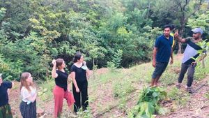 Its a 50 acre degraded hill restoration project with native endemics using nature based methods.