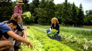 Ferme maraichère bio en Ile de France