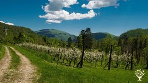 Azienda agricola/Boschiva, Centro Educativo, Sito ecoturistico