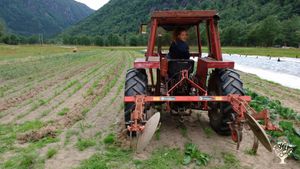 Communal Living Group, Market Garden, Orchard, Mixed Farm