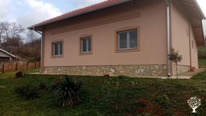 Vineyard, Livestock Farm, Orchard, Mixed Farm, Family farm