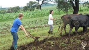 Our farm at Igamba Village
