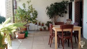 Family home and garden - rural