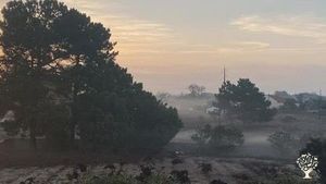 Permaculture property in the process and progress