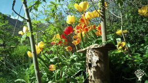 Family home and garden - rural, Cattle Ranch, Horse Ranch, Mixed Farm, Family farm
