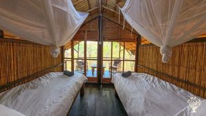 A farm that works with nature and not against it, using holistic practices to nurture nature