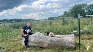 Organic Self-Sustainable homestead