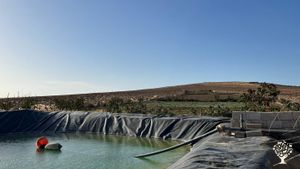 Planting trees, vegitables, weeding feeding dogs