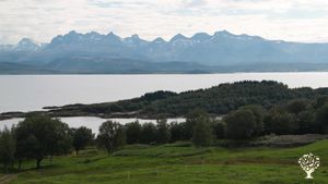 Hobby  farm. Horse breed. Horsemanship. Vegitables, herbs, berries.  Firewood produktion.