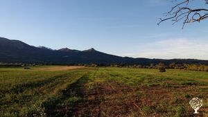 Fattoria biologica ai piedi del Gran Sasso