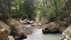 Eco Retreat - WWOOF Independents