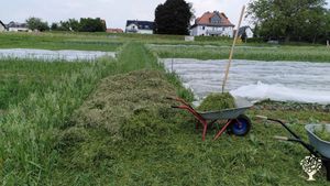Gemüse-SoLawi mit Ackerbau und Schafhaltung