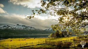 Smallholding, Mixed Farm, Family farm