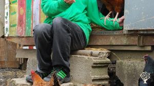 Communal Living Group, Family home and garden - rural, Livestock Farm