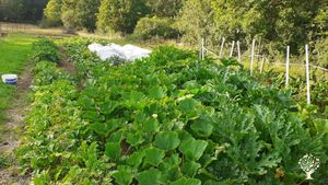Smallholding, Mixed Farm