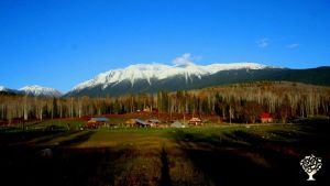 Organic farmstead surrounded by the mountians and wilderness of Northwest BC