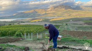 Destinazione Agrituristica, Fattoria di famiglia, Produzione ortaggi