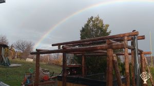 Family home and garden - rural, fruit orchards, veggie beds & family pets / horses, dogs and cats.