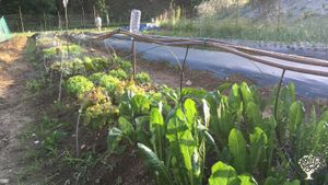 Casa contadina in zona collinare a metà via tra città e montagna
