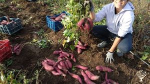 Mixed Farm, Family farm