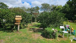 <JJ116>자연 속 농장 / A Farm in the Heart of Nature