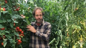 Gemüsegärtnerei mit Vermarktung