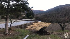 Ferme maraîchère biologique certifiée dans les baronnies provençales