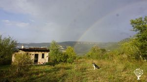 Cabaña para voluntarixs, también en el Almazén hay un espacio con cama muy agradable para dormir!
