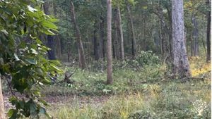 Spotted Deer sighted at the core area of the Banke National Park