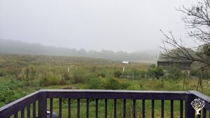 CSA farm with veggies, chickens, sheep, and a growing number of trees!