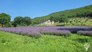 Azienda agricola  dedita principalmente alla coltivazione di piante officinali in biodinamica