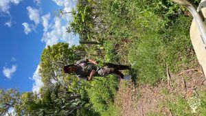 Exotic tropical farm located 10 minutes from Everglades National Park