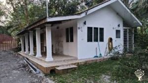 Gate House probable Home Stay to add revenue. Possible WWoofing.
We are near Gunung Pulai Reserve